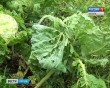 Град-Малый5-0830.jpg
