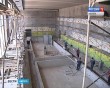 Школа-Кошелев2-0831.jpg