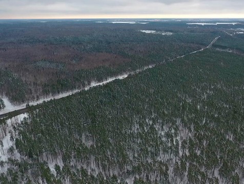 Калужане могут стать общественными лесными инспекторами