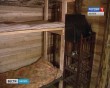 Блиндаж2-0831.jpg
