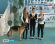 Ветврачи-0831.jpg