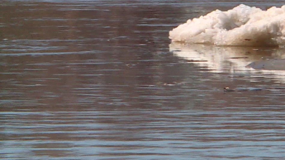 Паводок-0416.jpg
