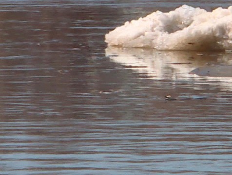 МЧС: Дзержинский район к встрече с большой водой готов