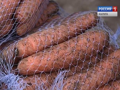 В калужских магазинах дорожает морковь