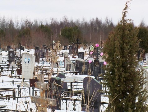На 13,5 гектаров расширят Литвиновское кладбище