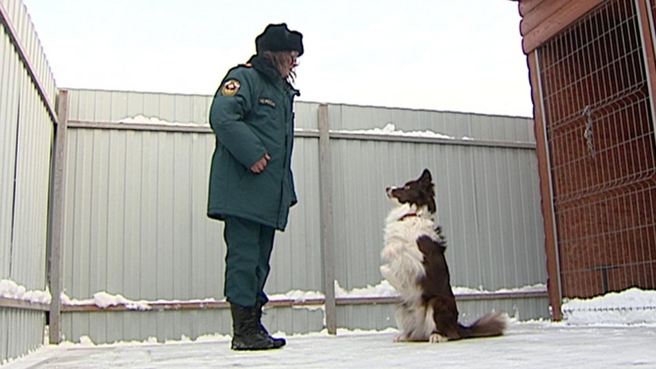 кинолог-собака-0304.jpg