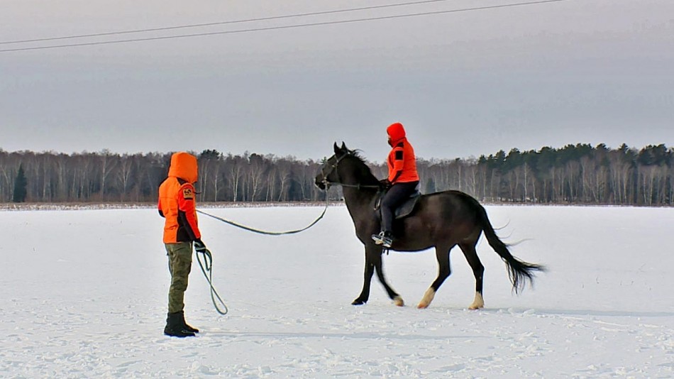 Лиза-Алерт-на-лошадях0313.jpg