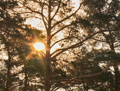 Астрономическая весна наступила в Северном полушарии Земли
