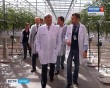 ТеплицаИнноваци0905.jpg