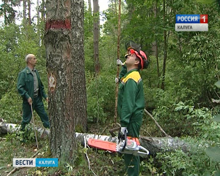 Лесорубы-конкурс0905.jpg