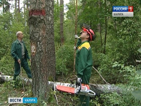 В Козельском районе выбрали лучших работников лесного хозяйства региона