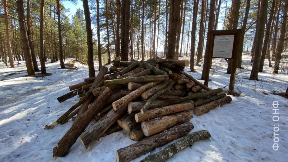 ОНФ-Угра0325.jpg