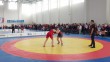 Первенство-РФ-по-вольной-борьбе0326.jpg