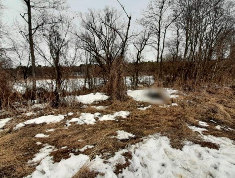 Тело пропавшего рыбака обнаружили у деревни Черная Грязь