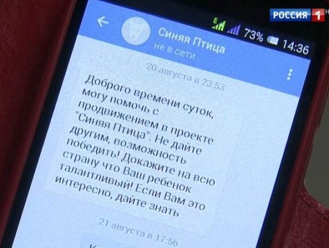 Участников конкурса 