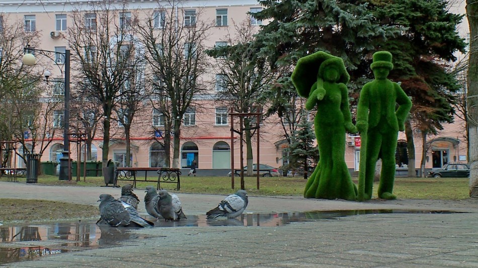 Погода-лужа-0311.jpg