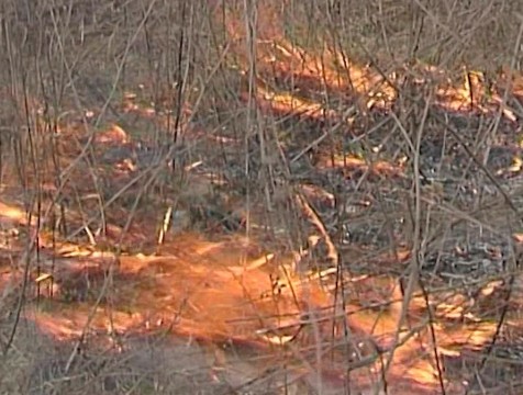 Пожарные отстояли от огня АЗС в Жуковском районе