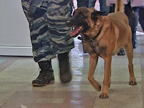 Гимназистов в Калуге эвакуировали из-за сообщений о минировании