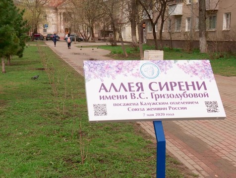 Аллею Валентины Гризодубовой пополнили новыми саженцами сирени