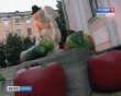 Газон-пати1-0910.jpg