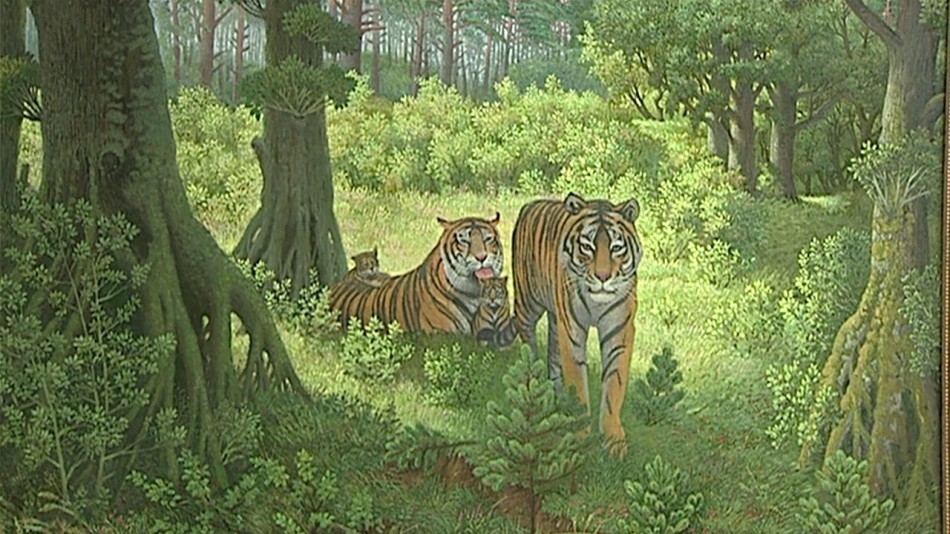 Выставка-Голубева3-0430.jpg