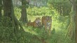 Выставка-Голубева3-0430.jpg