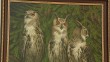 Выставка-Голубева4-0430.jpg