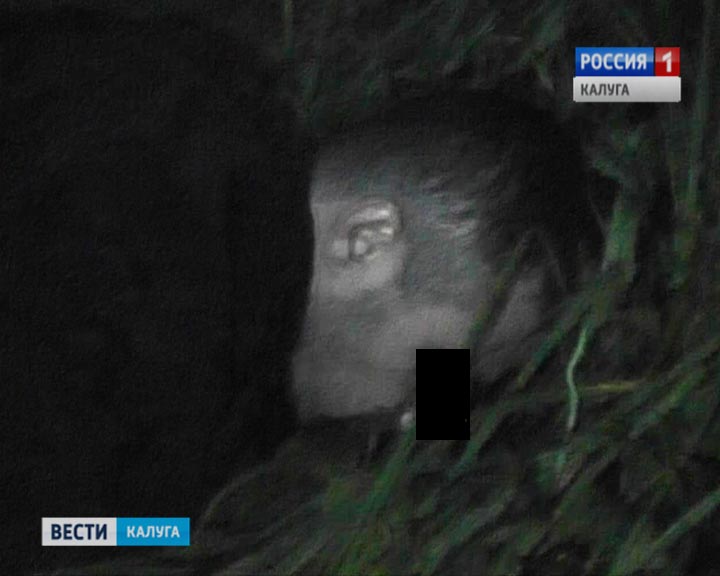 Задержание-наркота0913.jpg