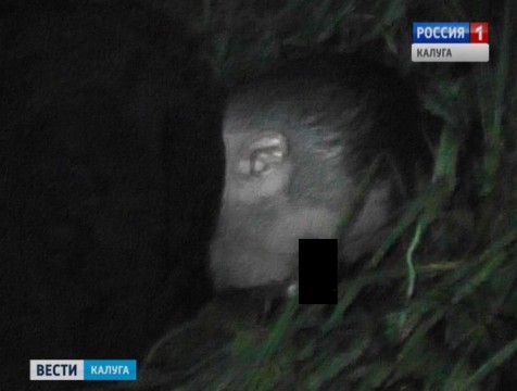 В регионе перекрыт крупный канал поставки наркотиков из Средней Азии
