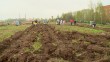 Воротынск-геоглиф0508.jpg