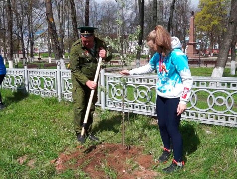 В Людинове высадили рябиновую аллею в честь погибших в годы войны горожан