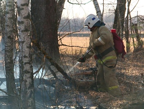 Более 255 термоточек отработали пожарные с начала сезона