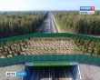 Экодук1-0913.jpg
