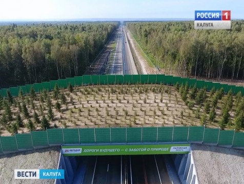 Первый в России экодук открыли в Калужской области