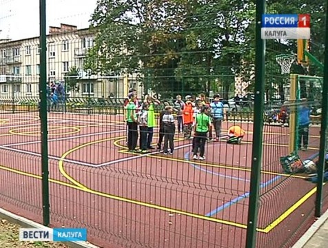 В деревне Кривское открыли современную спортивную площадку