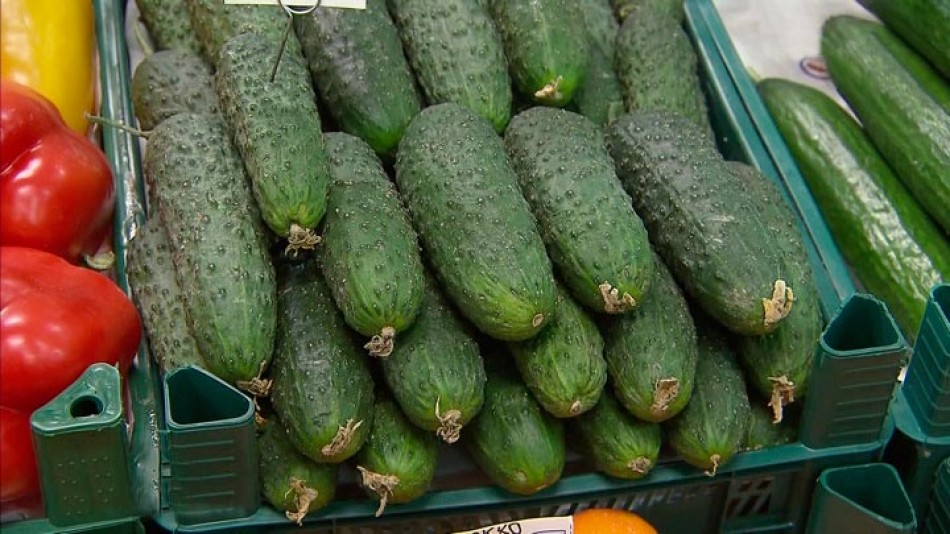 Огурцы0117.jpg