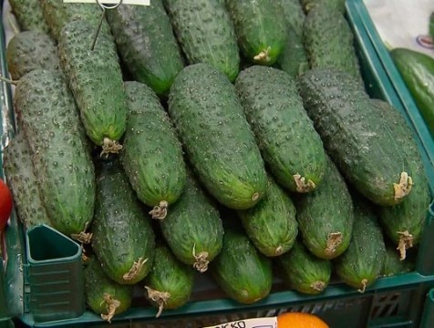 Огурцы подешевели в калужских магазинах