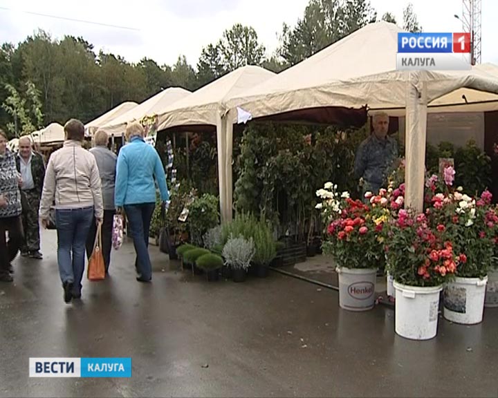 Калужская-осень2-0916.jpg