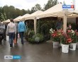 Калужская-осень2-0916.jpg