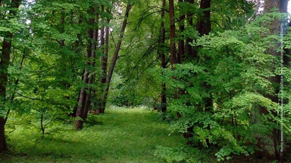 Парк-усадьбы-Гончаровых0608.jpg
