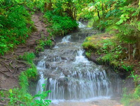 Фотовыставка «Особо охраняемые природные территории Калужской области» открылась в Полотняном Заводе