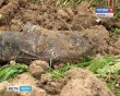 Труп-на-стройке0920.jpg