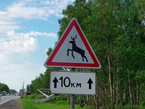 Дикое животное стало причиной ДТП в Юхновском районе