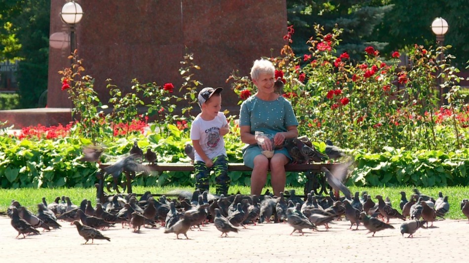 погода-голуби-семья-0831.jpg