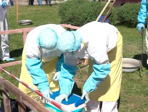 Еще один очаг АЧС обнаружен в Дзержинском районе