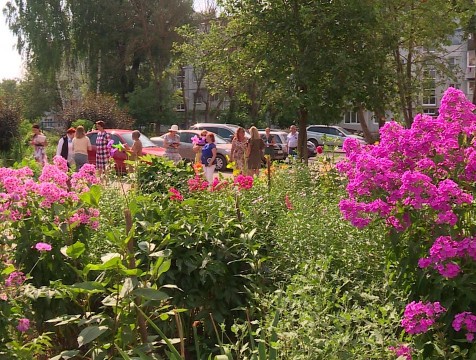 Комиссия конкурса «Калуга в цвету» оценила старания жителей  микрорайона Кубяка