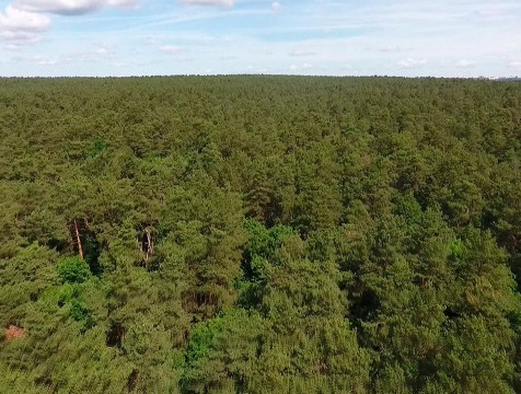 Группу туристов искали с помощью беспилотника в Дзержинском районе