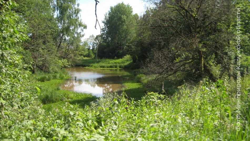 природв0721.jpg