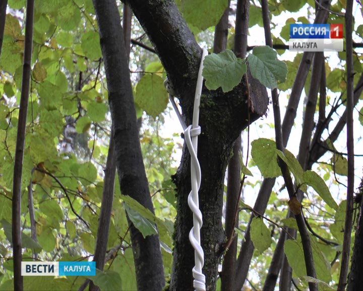 Самоубийца0923.jpg