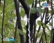 Самоубийца0923.jpg
